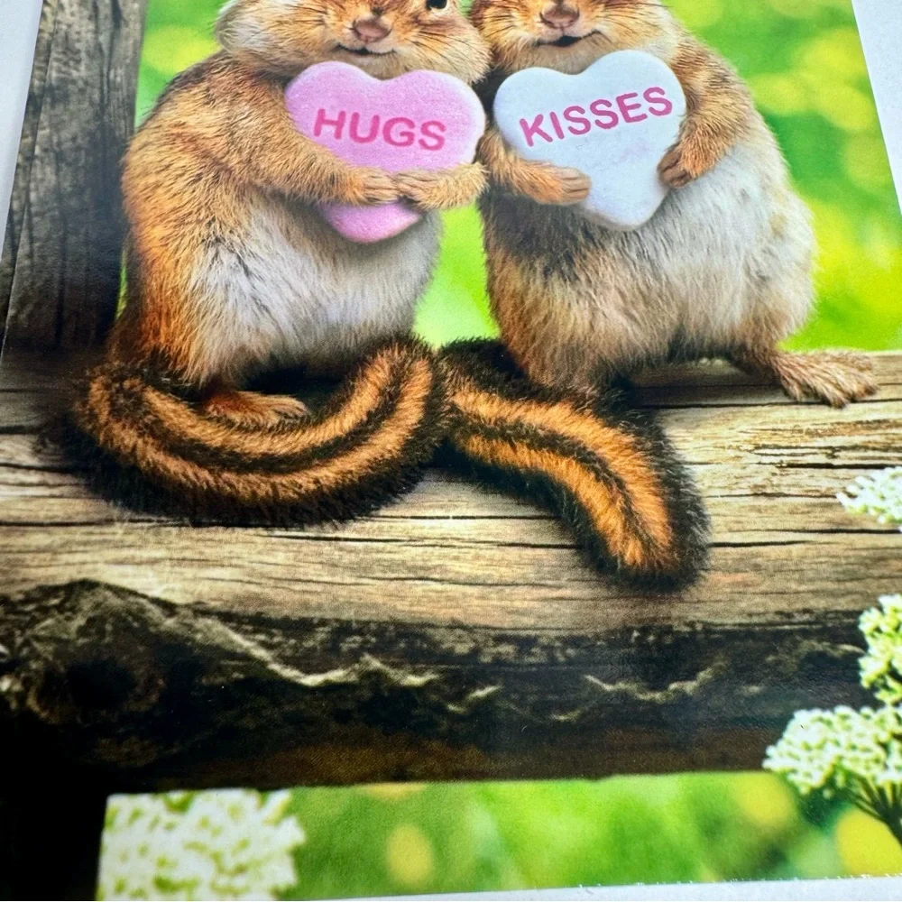 5 Avanti Greeting cards - Chipmunks hugs and kisses Holiday: Valentine’s Day L